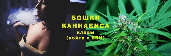 прущие грибы Вязьма