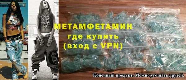 прущие грибы Вязьма