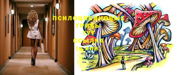 стафф Горно-Алтайск