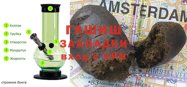 прущие грибы Вязьма