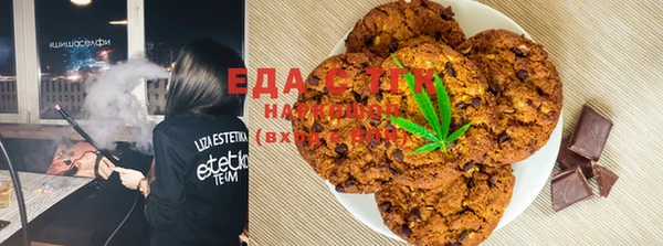 прущие грибы Вязьма