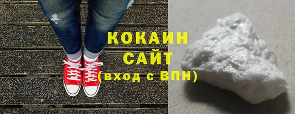 прущие грибы Вязьма