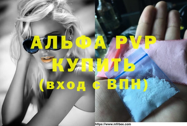 прущие грибы Вязьма