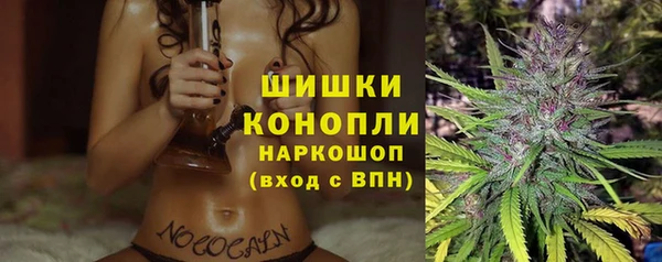 прущие грибы Вязьма