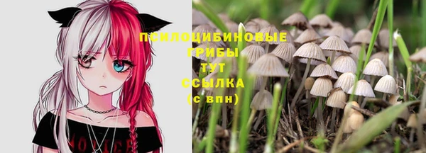 ALPHA PVP Вязники