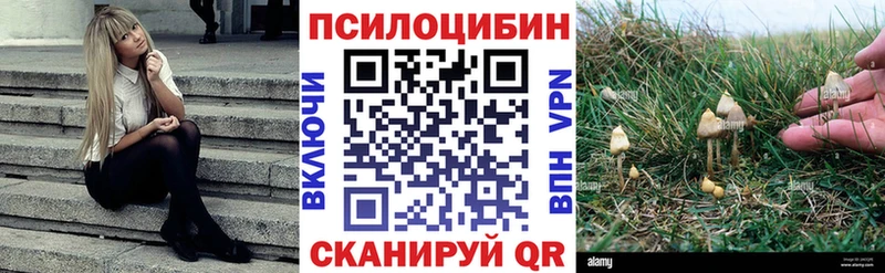 Псилоцибиновые грибы мухоморы  hydra рабочий сайт  Углегорск  наркотики 